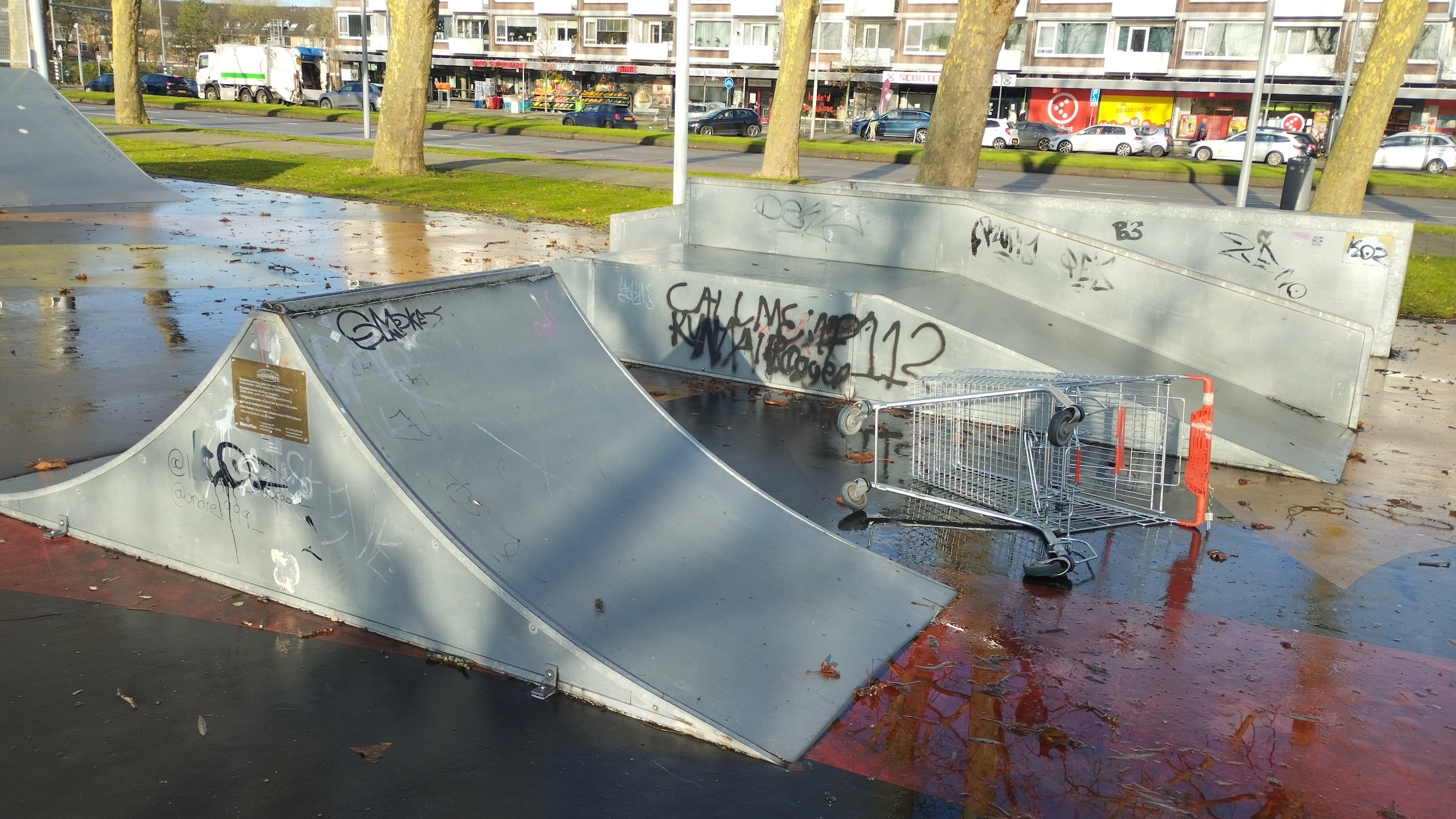 Spinoza park Skatepark